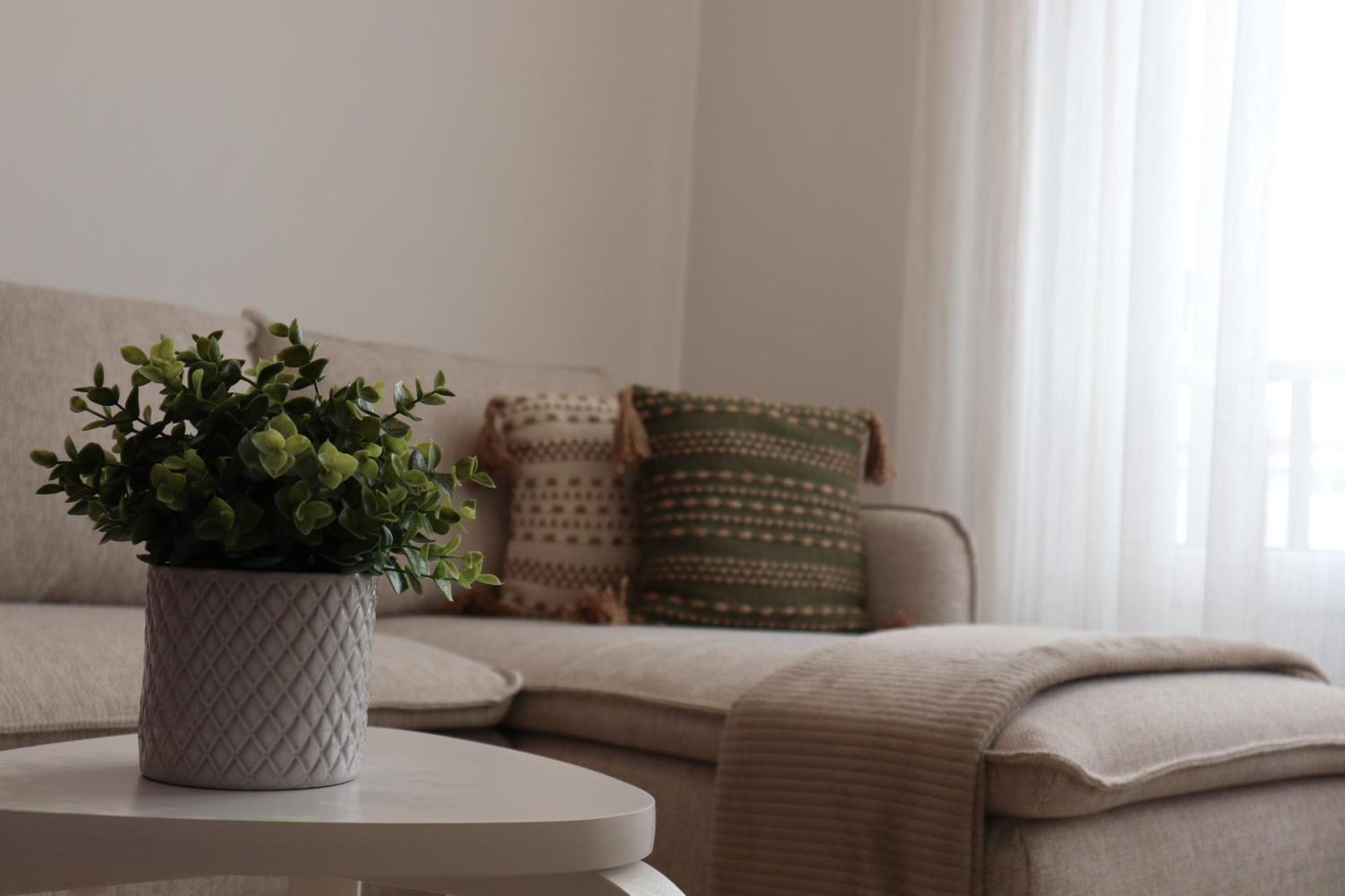 Wild Blue By Svl Apartment Ponta Delgada  Luaran gambar